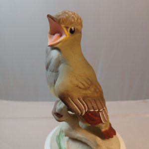 Baby Crested Flycatcher 458